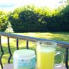 Leaky Gut - Advanced - （Powder） - Image 5