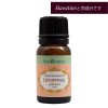 Uplifting（Mood boosting blend）