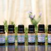 Organic Essential Oils Set A（6 bottles 10ml） - Image 2