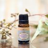 (Organic) Eucalyptus Oil - [10ml] - Image 2