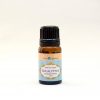 (Organic) Eucalyptus Oil - [10ml]