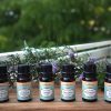Organic Essential Oils Set A（6 bottles 10ml） - Image 3