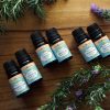 Organic Essential Oils Set A（6 bottles 10ml） - Image 4