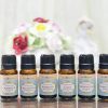 Essential Oil Set B (6 bottles / 10ml) - Image 2