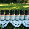 Essential Oil Set B (6 bottles / 10ml) - Image 3