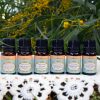 Essential Oil Set B (6 bottles / 10ml) - Image 4
