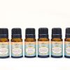 Essential Oil Set B (6 bottles / 10ml)