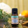 Guardian（Immune boosting blend） - Image 2