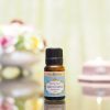 (Organic) May Chang (Litsea cubeba) -[10ml] - Image 3