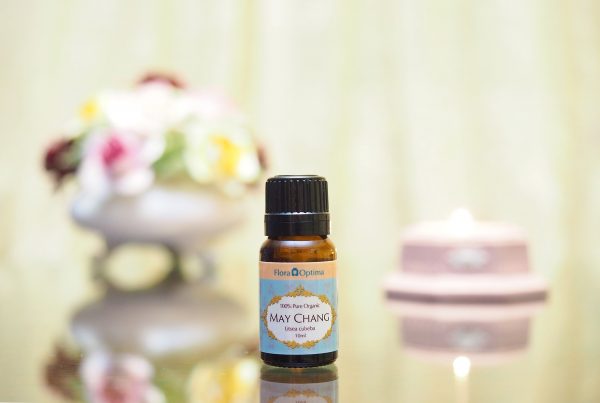 (Organic) May Chang (Litsea cubeba) -[10ml] - Image 3