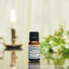 (Organic) May Chang (Litsea cubeba) -[10ml] - Image 2
