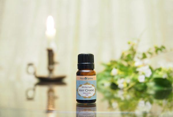 (Organic) May Chang (Litsea cubeba) -[10ml] - Image 2