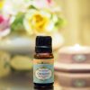 (Organic) Oregano Oil -　[10ml] - Image 2