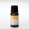(Organic) Oregano Oil -　[10ml]