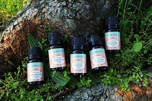Blend Oils Set A (5 bottles /10 ml) - Image 2