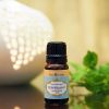 (Organic) Peppermint Oil-  [10ml] - Image 2