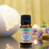 Uplifting（Mood boosting blend） - Image 2