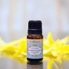 (Organic) Ylang Ylang Oil - [10ml] - Image 2