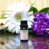 Cleopatra (Massage Blend) -10ml- - Image 2
