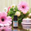 Marie Antoinette (Feminine Blend) -10ml- - Image 2